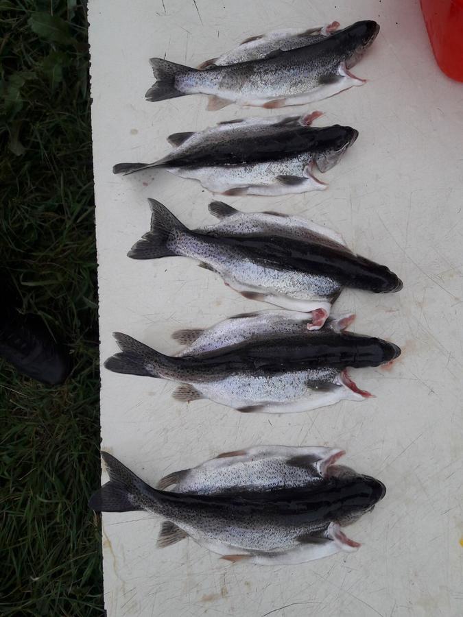 Fish Hotel Akhalkalaki ภายนอก รูปภาพ